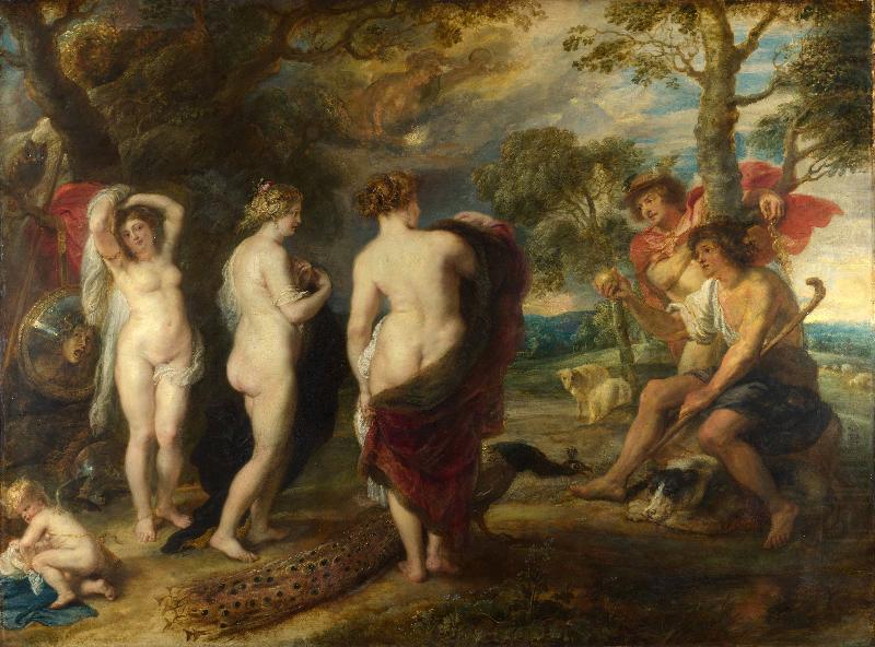 Peter Paul Rubens Judgment of Paris china oil painting image